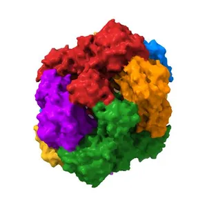 Structure of a 16 nm protein cage designed by fusing symmetric oligomeric domains