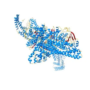 Budding yeast Ctf19 complex
