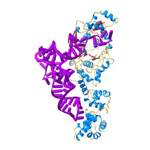 GLUTAMYL-TRNA SYNTHETASE COMPLEXED WITH TRNA(GLU).