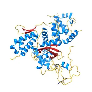 Crystal structure of MAGEG1 and NSE1 complex