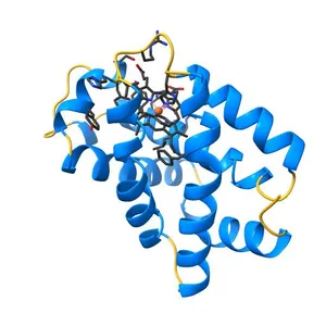 Trematode hemoglobin from Paramphistomum epiclitum