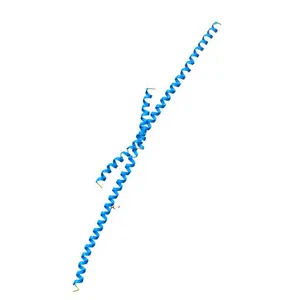 The Structure of CC1-IH in human STIM1.