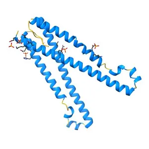 Crystal structure of SOAR domain
