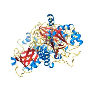 Crystal Structure of Phospholipase C Beta 2