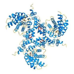 cryo-EM structure of the human neutral amino acid transporter ASCT2