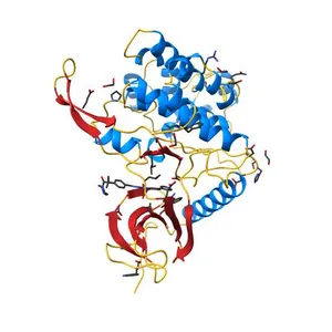 Crystal structure of CLK3 in complex with T3-CLK