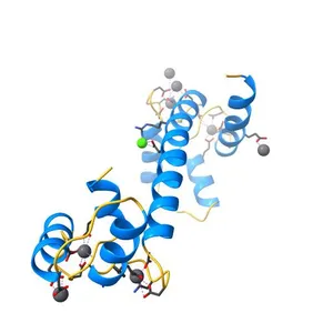 Recombinant vertebrate calmodulin complexed with Pb
