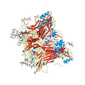 Crystal Structure of Humanpapillomavirus18 (HPV18) Capsid L1 Pentamers Bound to Heparin Oligosaccharides
