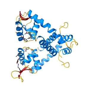 Multiple Antibiotic Resistance Repressor, MarR