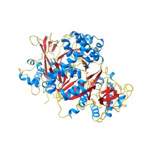 Structure of Phenazine Antibiotic Biosynthesis Protein