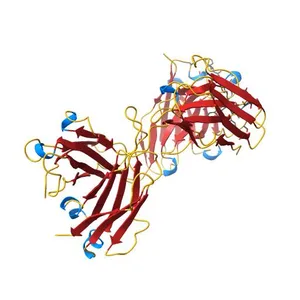 Crystal Structure of HIV-1 Clade A BG505 Fusion Peptide (residue 512-520) in Complex with Broadly Neutralizing Antibody VRC34.01 Fab