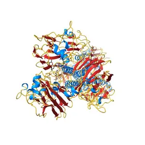 Crystal structure of a H7 influenza virus hemagglutinin