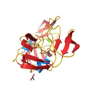 Apo Wild-type HIV Protease in the open conformation