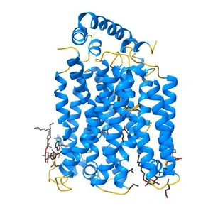 The structure of the MFS (major facilitator superfamily) proton:xylose symporter XylE bound to D-glucose