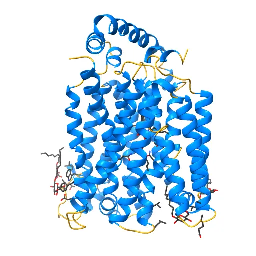 The structure of the MFS (major facilitator superfamily) proton:xylose symporter XylE bound to D-glucose — Image 2 of 12
