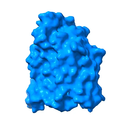 The structure of the MFS (major facilitator superfamily) proton:xylose symporter XylE bound to D-glucose — Image 4 of 12