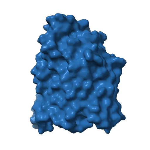 The structure of the MFS (major facilitator superfamily) proton:xylose symporter XylE bound to D-glucose — Image 6 of 12