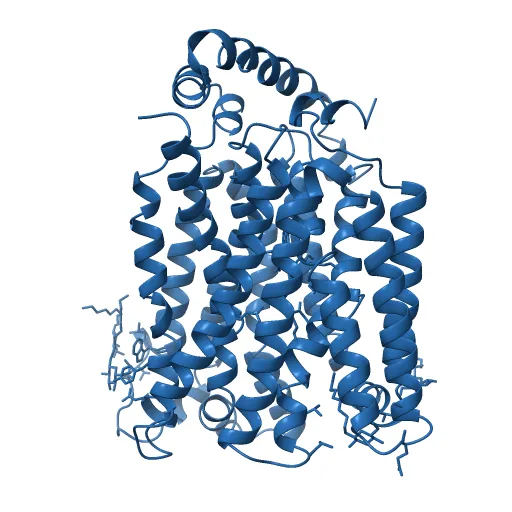 The structure of the MFS (major facilitator superfamily) proton:xylose symporter XylE bound to D-glucose — Image 7 of 12