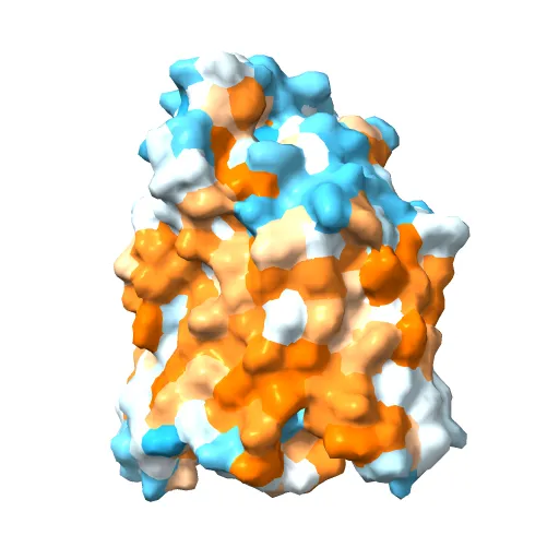 The structure of the MFS (major facilitator superfamily) proton:xylose symporter XylE bound to D-glucose — Image 10 of 12