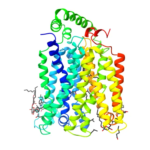 The structure of the MFS (major facilitator superfamily) proton:xylose symporter XylE bound to D-glucose — Image 11 of 12