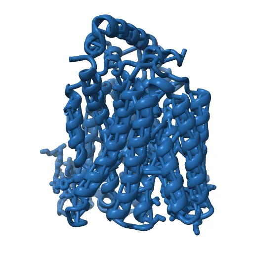 The structure of the MFS (major facilitator superfamily) proton:xylose symporter XylE bound to D-glucose — Image 12 of 12