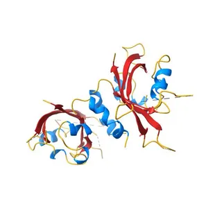 Structure and Dimerization Properties of the Aryl Hydrocarbon Receptor (AHR) PAS-A Domain