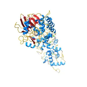 Crystal structure of human calcineurin