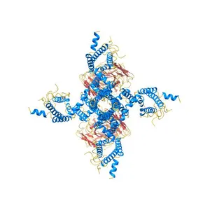 CryoEM structure of Nav1.7 VSD2 (actived state) in complex with the gating modifier toxin ProTx2