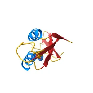 Crystal structure of the dimerization domain of Lsr2 from Mycobacterium tuberculosis in the P 1 21 1 space group