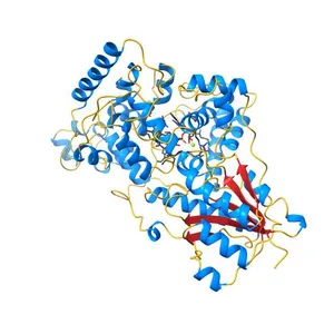 Structure of Full-length Drosophila Cryptochrome