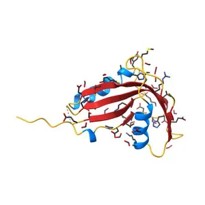 Crystal structure of human phosphohistidine phosphatase