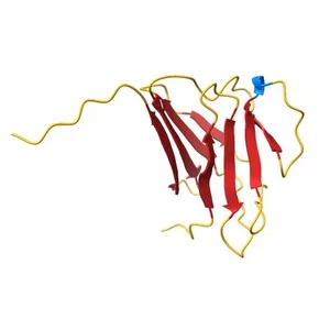 Crystal structure of the R482W mutant of lamin A/C
