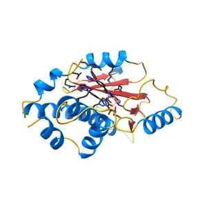 The N-terminal domain of PA endonuclease from the influenza H1N1 virus in complex with 6-(3-(1H-tetrazol-5-yl)phenyl)-3-hydroxy-4-oxo-1,4-dihydropyridine-2-carboxylic acid