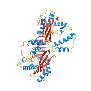 Crystal structure of E. coli RdgC