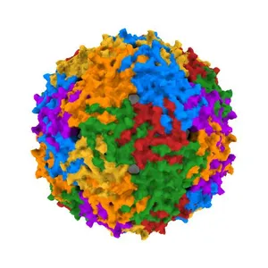 MS2 COAT PROTEIN/RNA COMPLEX