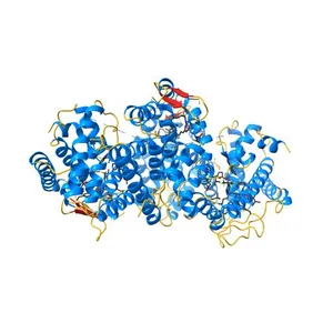 humanRXR alpha & mouse LXR alpha complexed with Retenoic acid and GSK2186