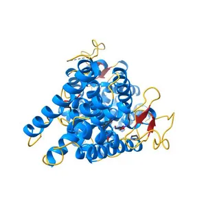 Crystal Structure of the Human Nur77 Ligand-binding Domain