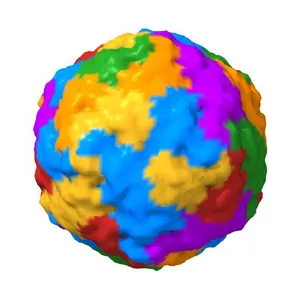 Crystal Structure of Human Enterovirus D68 in Complex with Pleconaril