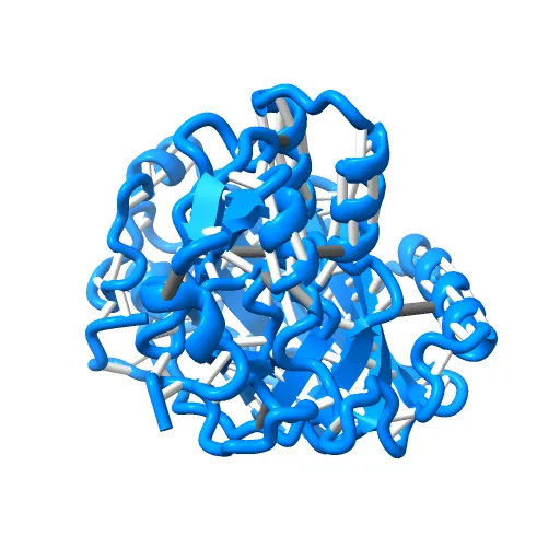 Crystal structure of a luciferase domain from the dinoflagellate Lingulodinium polyedrum — Фото 2 из 12