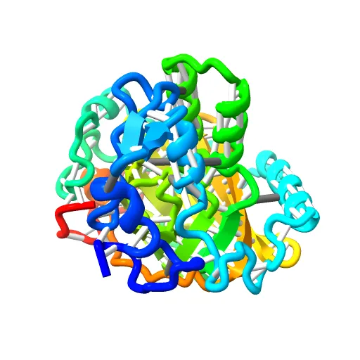 Crystal structure of a luciferase domain from the dinoflagellate Lingulodinium polyedrum — Фото 3 из 12