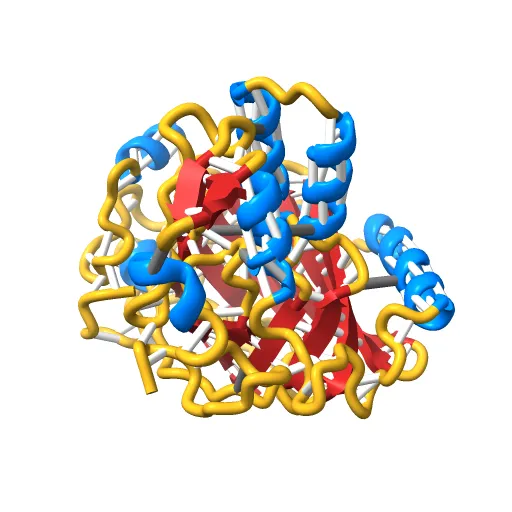 Crystal structure of a luciferase domain from the dinoflagellate Lingulodinium polyedrum — Фото 4 из 12
