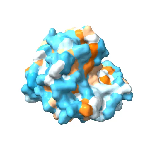 Crystal structure of a luciferase domain from the dinoflagellate Lingulodinium polyedrum — Фото 5 из 12