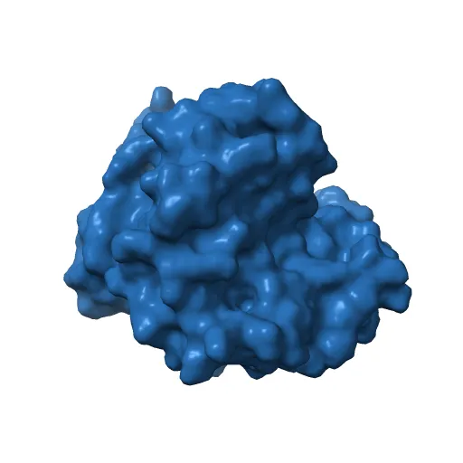 Crystal structure of a luciferase domain from the dinoflagellate Lingulodinium polyedrum — Фото 6 из 12