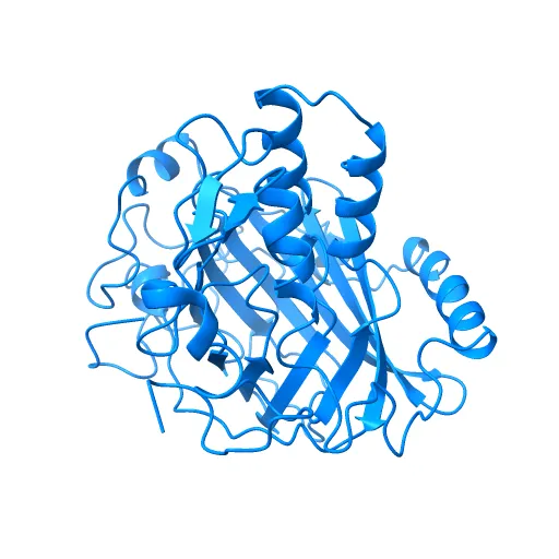 Crystal structure of a luciferase domain from the dinoflagellate Lingulodinium polyedrum — Фото 7 из 12