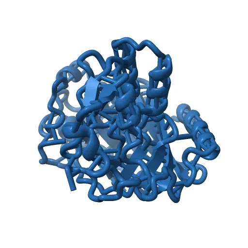 Crystal structure of a luciferase domain from the dinoflagellate Lingulodinium polyedrum — Фото 9 из 12