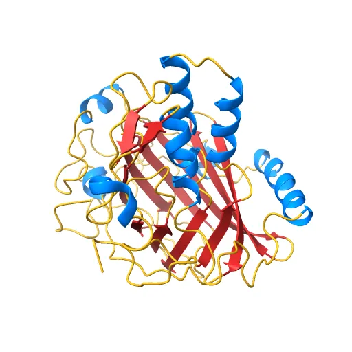 Crystal structure of a luciferase domain from the dinoflagellate Lingulodinium polyedrum — Фото 10 из 12