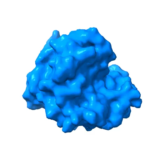 Crystal structure of a luciferase domain from the dinoflagellate Lingulodinium polyedrum — Фото 11 из 12