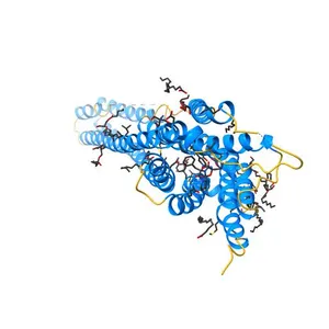 Crystal structure of the 5-HT2B receptor solved using serial femtosecond crystallography in lipidic cubic phase.