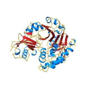 Crystal structure of CYLD USP domain (C596S) in complex with Met1-linked diubiquitin
