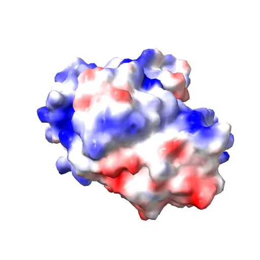 STRUCTURE OF GREEN FLUORESCENT PROTEIN — Image 2 of 13